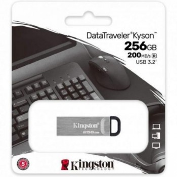 KINGSTON USB memorija 256GB...