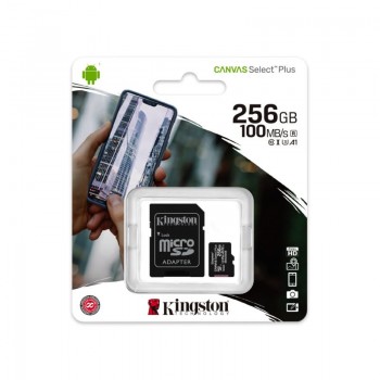 Kingston microSD 256GB Class10