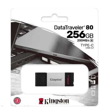 KINGSTON USB memorija 256GB...